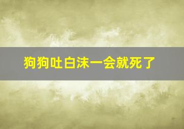 狗狗吐白沫一会就死了