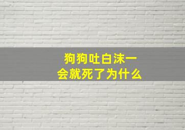 狗狗吐白沫一会就死了为什么