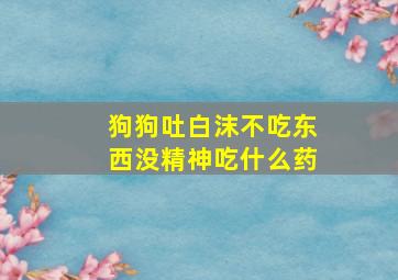 狗狗吐白沫不吃东西没精神吃什么药