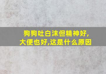 狗狗吐白沫但精神好,大便也好,这是什么原因