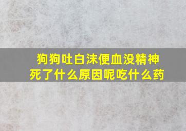 狗狗吐白沫便血没精神死了什么原因呢吃什么药