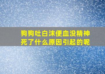 狗狗吐白沫便血没精神死了什么原因引起的呢