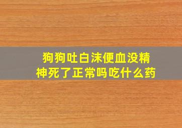 狗狗吐白沫便血没精神死了正常吗吃什么药