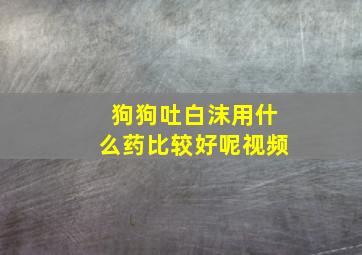 狗狗吐白沫用什么药比较好呢视频