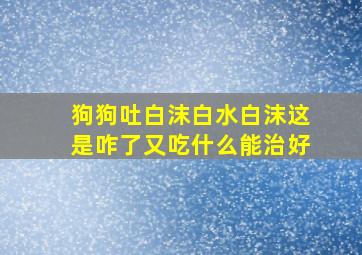 狗狗吐白沫白水白沫这是咋了又吃什么能治好