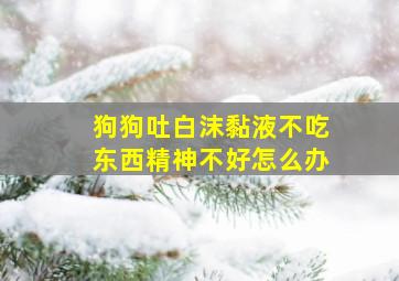 狗狗吐白沫黏液不吃东西精神不好怎么办