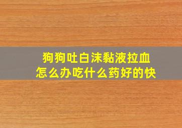 狗狗吐白沫黏液拉血怎么办吃什么药好的快