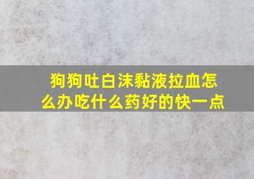 狗狗吐白沫黏液拉血怎么办吃什么药好的快一点