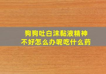 狗狗吐白沫黏液精神不好怎么办呢吃什么药