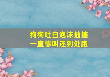 狗狗吐白泡沫抽搐一直惨叫还到处跑