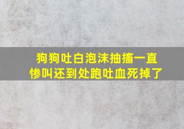 狗狗吐白泡沫抽搐一直惨叫还到处跑吐血死掉了