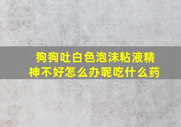 狗狗吐白色泡沫粘液精神不好怎么办呢吃什么药