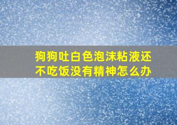 狗狗吐白色泡沫粘液还不吃饭没有精神怎么办