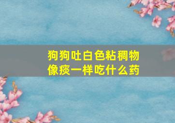 狗狗吐白色粘稠物像痰一样吃什么药