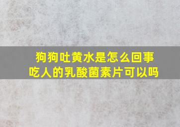 狗狗吐黄水是怎么回事吃人的乳酸菌素片可以吗