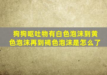 狗狗呕吐物有白色泡沫到黄色泡沫再到褐色泡沫是怎么了