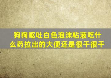 狗狗呕吐白色泡沫粘液吃什么药拉出的大便还是很干很干