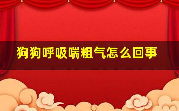 狗狗呼吸喘粗气怎么回事