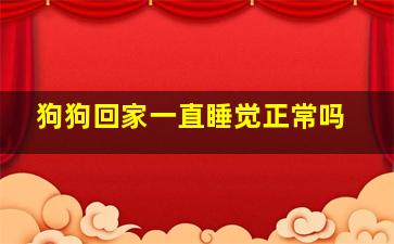 狗狗回家一直睡觉正常吗