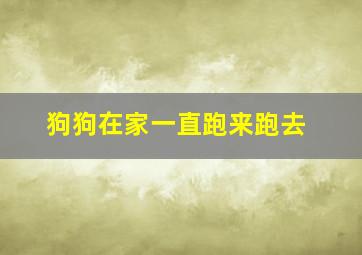 狗狗在家一直跑来跑去