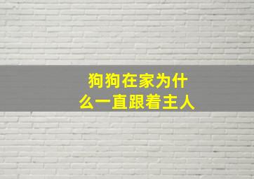 狗狗在家为什么一直跟着主人