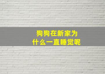 狗狗在新家为什么一直睡觉呢