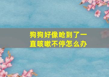 狗狗好像呛到了一直咳嗽不停怎么办