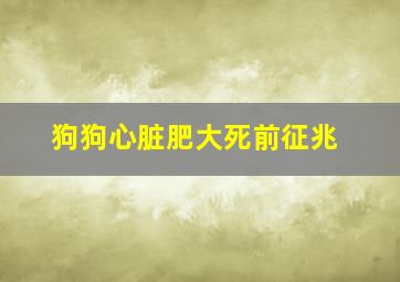 狗狗心脏肥大死前征兆