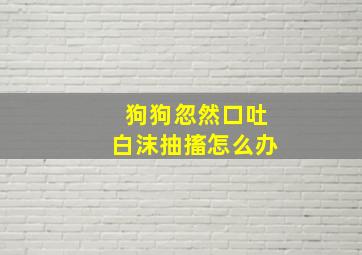 狗狗忽然口吐白沫抽搐怎么办