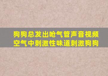 狗狗总发出呛气管声音视频空气中刺激性味道刺激狗狗