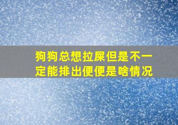 狗狗总想拉屎但是不一定能排出便便是啥情况