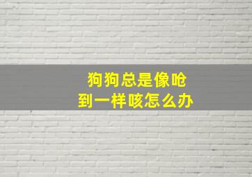 狗狗总是像呛到一样咳怎么办