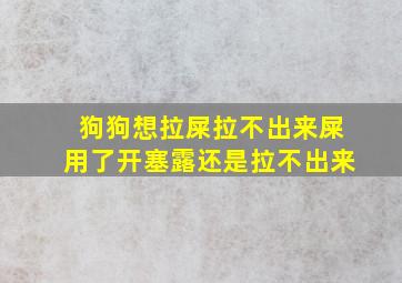 狗狗想拉屎拉不出来屎用了开塞露还是拉不出来