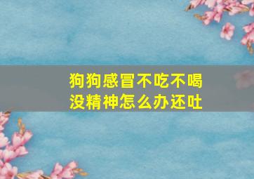 狗狗感冒不吃不喝没精神怎么办还吐