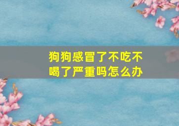 狗狗感冒了不吃不喝了严重吗怎么办