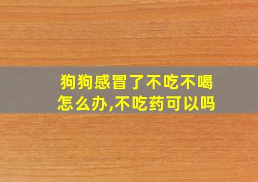 狗狗感冒了不吃不喝怎么办,不吃药可以吗