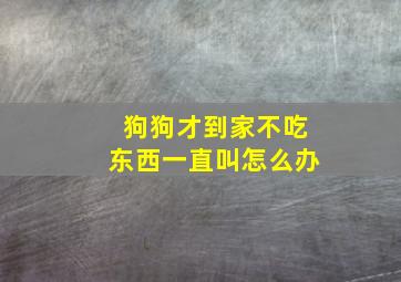 狗狗才到家不吃东西一直叫怎么办