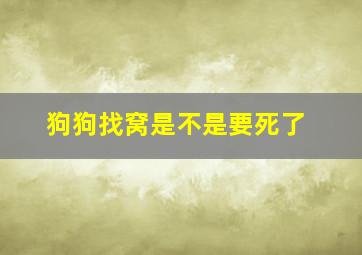 狗狗找窝是不是要死了