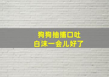 狗狗抽搐口吐白沫一会儿好了