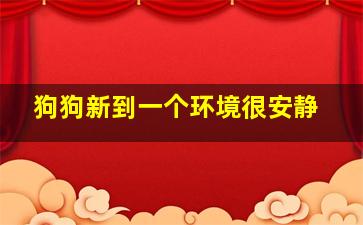 狗狗新到一个环境很安静