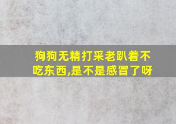 狗狗无精打采老趴着不吃东西,是不是感冒了呀