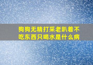 狗狗无精打采老趴着不吃东西只喝水是什么病