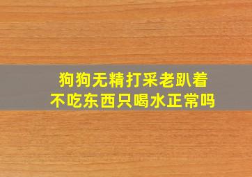 狗狗无精打采老趴着不吃东西只喝水正常吗