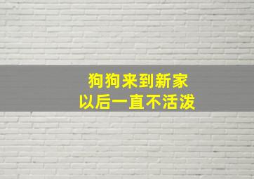 狗狗来到新家以后一直不活泼