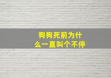 狗狗死前为什么一直叫个不停