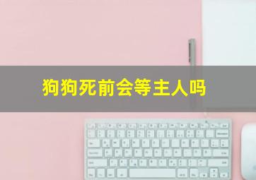 狗狗死前会等主人吗