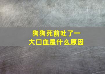 狗狗死前吐了一大口血是什么原因