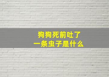 狗狗死前吐了一条虫子是什么