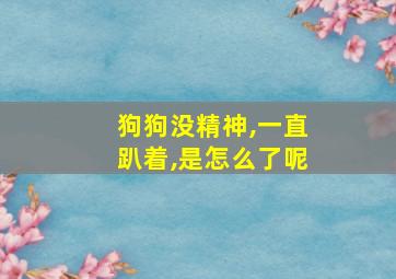 狗狗没精神,一直趴着,是怎么了呢