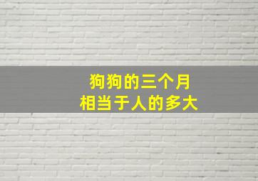 狗狗的三个月相当于人的多大